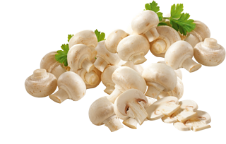 Deutschland/Niederlande/Polen - GUT & GÜNSTIG - Champignons